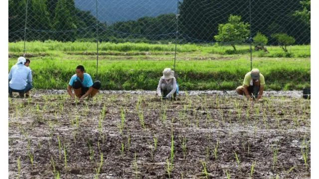 田舎で自然農法をやってわかった たったひとつの大切な事 田舎暮らしならcoccoblog