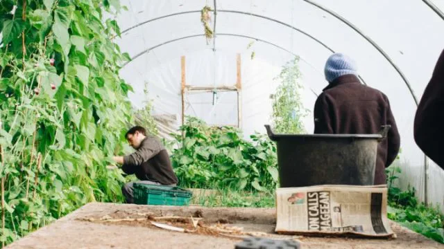 初心者必見 基礎から学べる家庭菜園におすすめの農法は 田舎暮らしならcoccoblog