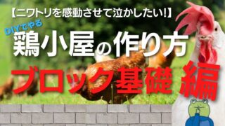 【ブロック基礎編】DIYでやる鶏小屋の作り方＜ニワトリも感動？＞