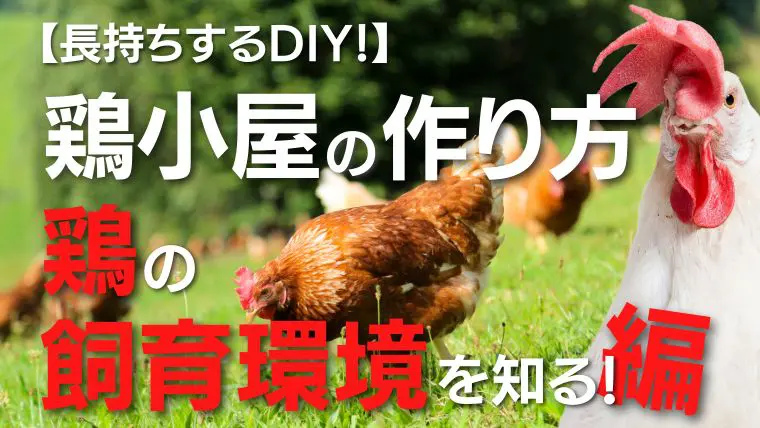 長持ちするdiy 鶏小屋の作り方 鶏の飼育環境を知る 編 田舎暮らしならcoccoblog