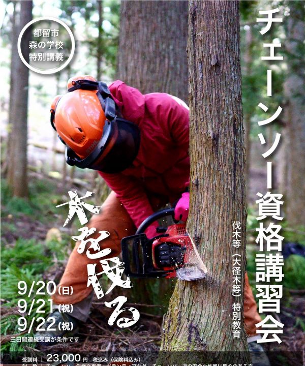 【悩める若者へ】20代チェーンソー未経験でもできる林業の始め方＜仕事内容はきつい？＞