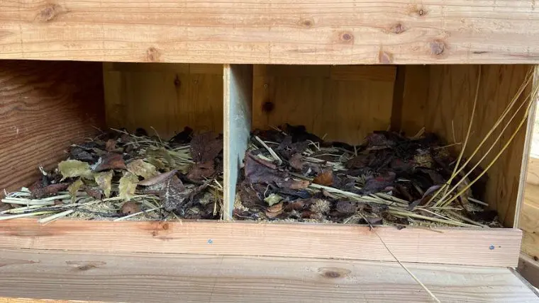 Diyで建てる 鶏小屋の作り方 内装編 ヒヨコ 成鶏飼い 田舎暮らしならcoccoblog